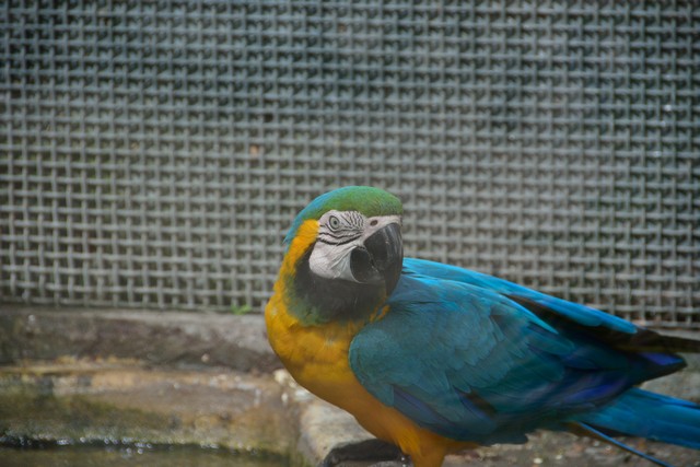 20150326 - Rome - 246